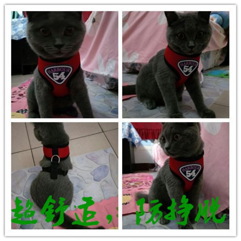猫咪胸背带套装拴溜猫绳子猫牵引绳猫链子猫绳狗狗背心式牵引绳 灰色 S号