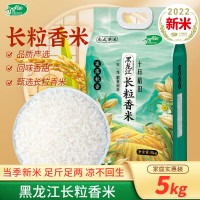 十月稻田 寒露秋香长粒香米5KG