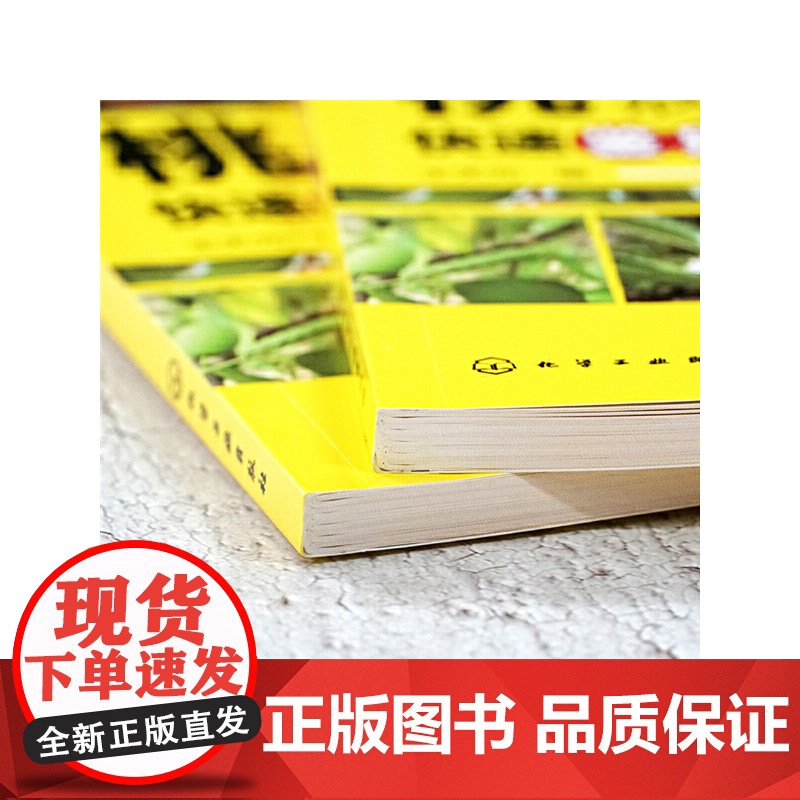 桃病虫害快速鉴别与防治妙招 王天元 化学工业出版社 正版书籍高清大图