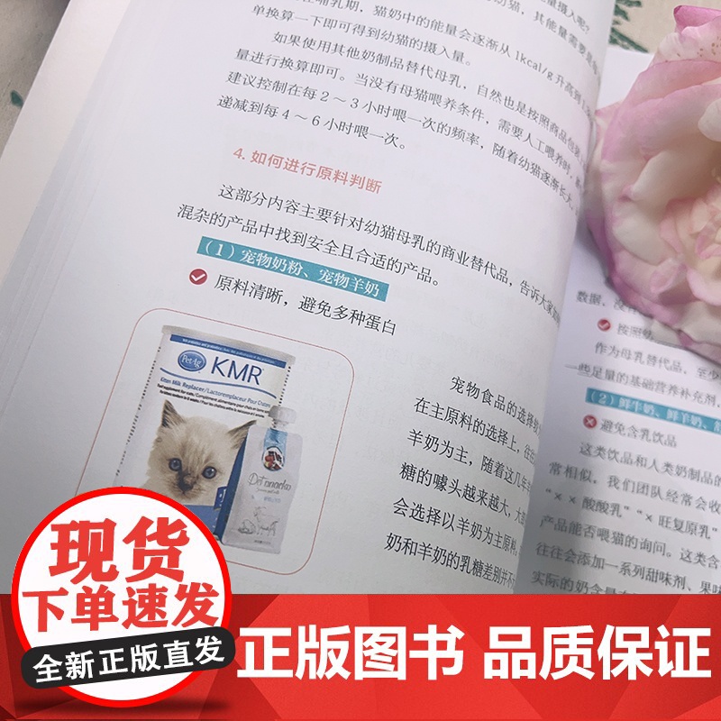 店 猫咪全阶段科学养护指南 斜对面的老阳 养猫基础工具书 宠物猫科学全书喂养书猫咪常见疾病预防诊治 爱猫养护实用手册高清大图