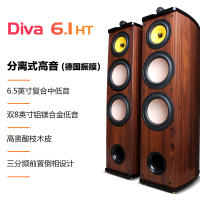 惠威 Diva 6.1 5.1+安桥494 家庭影院音响套装5.1环绕音箱家用客厅重低音