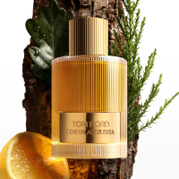 TOM FORD汤姆福特蔚蓝海岸男女士浓香水100ml TF中性香水EDP 木质馥奇香调