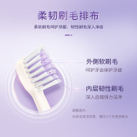 飞利浦(PHILIPS)电动牙刷 S1人情侣款送男女友礼物 3种模式 全新柔韧SPA刷头 紫色HX2411/01
