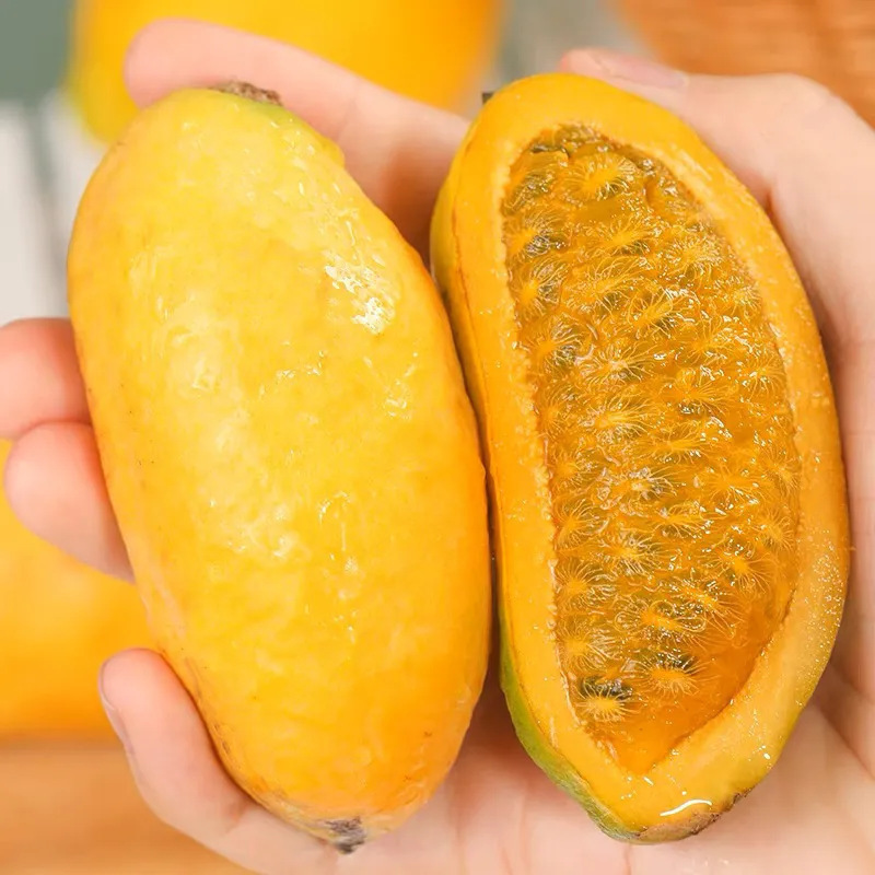 [熊猫鸟]新鲜九月黄 带箱5斤 大果 单果3-5两 当季现摘罕见鲜果牛卵坨八月瓜木通果特产