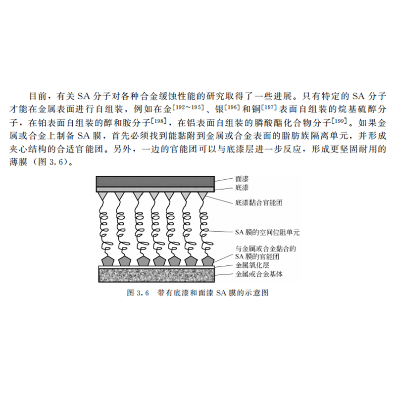 醉染图书智能涂料——原理·技术·防腐蚀应用97871242485高清大图