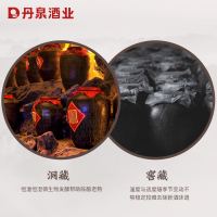 [酒厂自营]广西丹泉酒 洞藏10 酱香型50度白酒500mL礼盒
