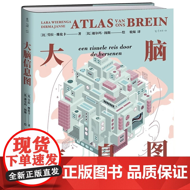 大脑信息图 26个话题300+张图 可视化多维探秘人体“黑匣子”3D版人类大脑运行原理与使用图解科普成长学习 26个话题高清大图