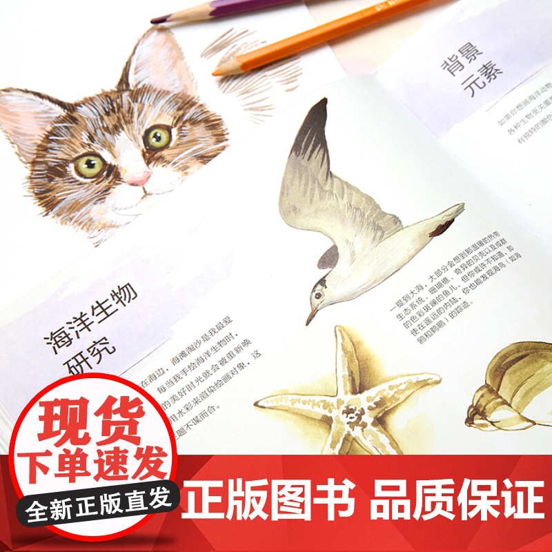 手绘可爱的小动物 轻松画生活 艺术绘画 美术教程 上海书画出版社高清大图