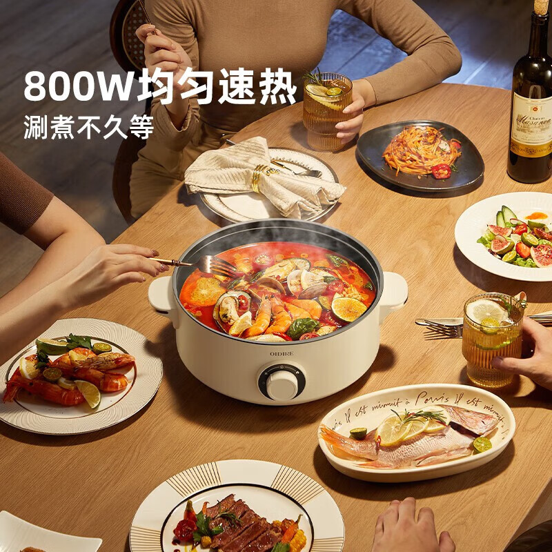 德国OIDIRE 电火锅/电蒸锅ODI-DHG18高清大图