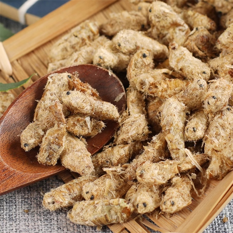 雄蚕蛾500克袋装 纯公蚕俄蚕娥晚蚕娥未交配雄天蛾新货雄蚕蛾高清大图