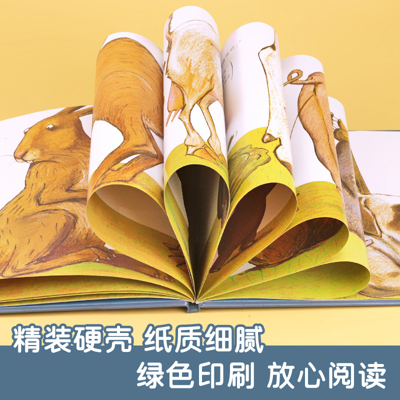 [正版]邓超微博荣获国际安徒生金奖是谁嗯嗯在我的头上 精装儿童绘本 宝宝亲子情商启蒙绘本图画书籍 幼儿园绘本 0-2