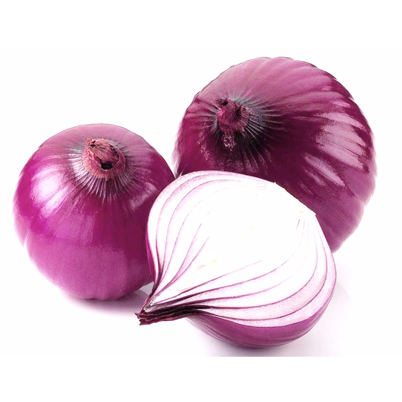 【西沛生鲜】紫皮洋葱 大洋葱 新鲜采摘蔬菜 香辣适口 净重5斤装