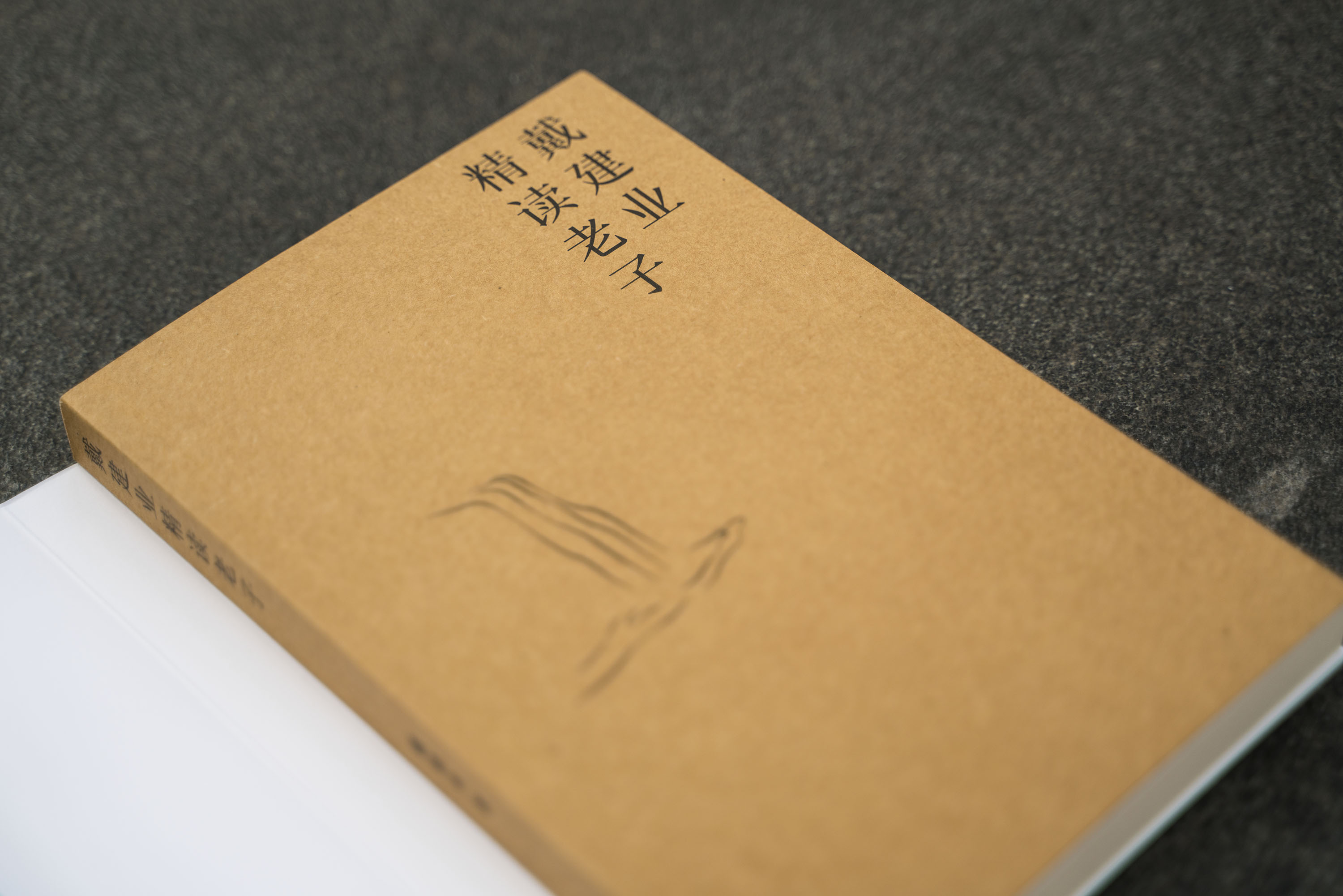 [正版] 戴建业精读老子 文学理论 网红级国民教授谈 十七年长销不衰 趣味随笔 中国文学 古典 经典 诗歌 戴建业文集高清大图