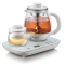 小熊(Bear)煮茶器 ZCQ-A08E1 0.8L 喷淋式煮茶