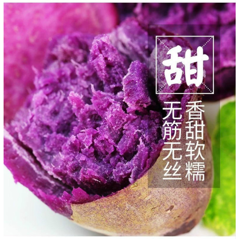 [江苏乡村振兴][财政集采][灌南]灌农现挖紫薯10斤