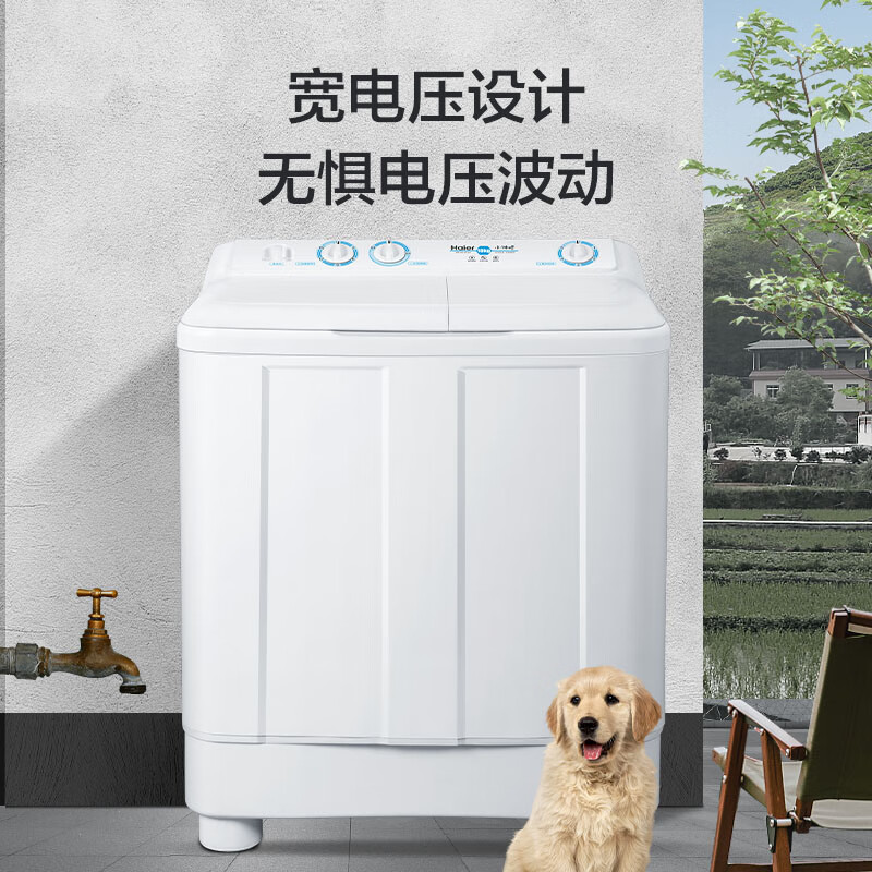 海尔(Haier)10公斤 大容量 双缸洗衣机 半自动 二级能效 宽电压 双电机 XPB100-81D2高清大图