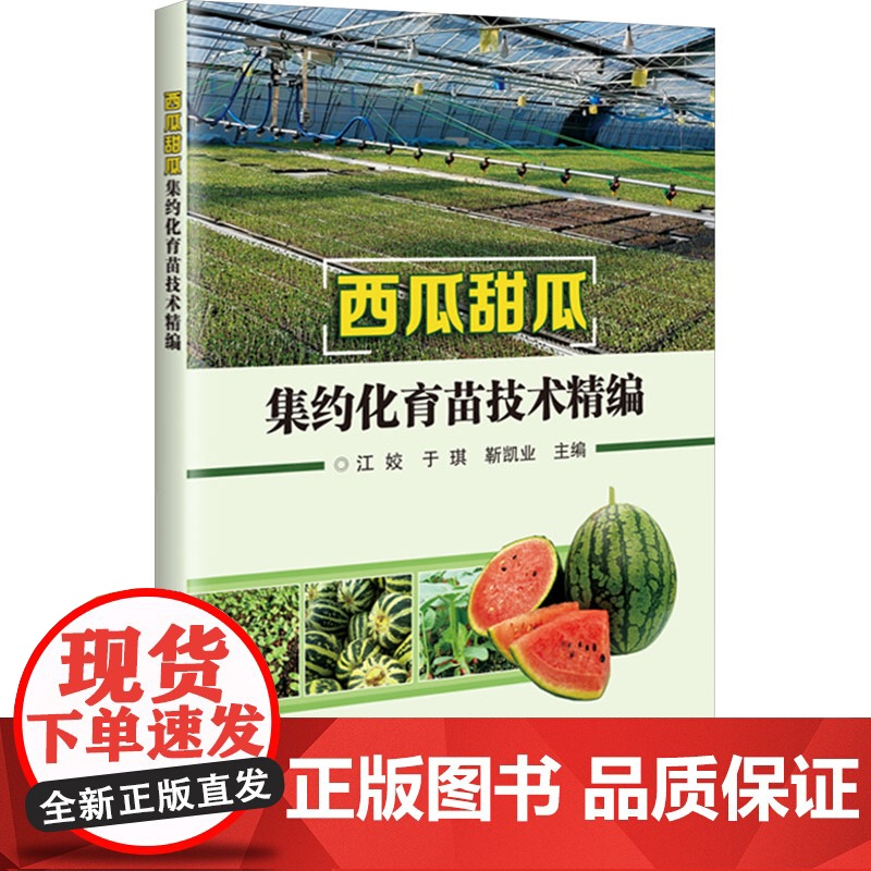 西瓜甜瓜集约化育苗技术精编 江姣 于琪 靳凯业 编 9787511668172中国农业科学技术出版社高清大图
