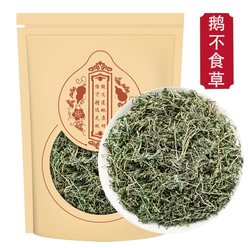 鹅不食草100g新鲜鹅不食草鹅不吃草可打粉末高清大图