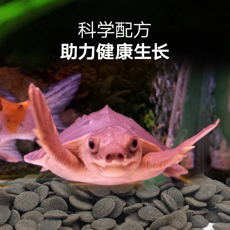 猪鼻子龟粮 下沉龟粮剃刀龟专用粮颈侧头龟粮猪鼻龟饲料高清大图
