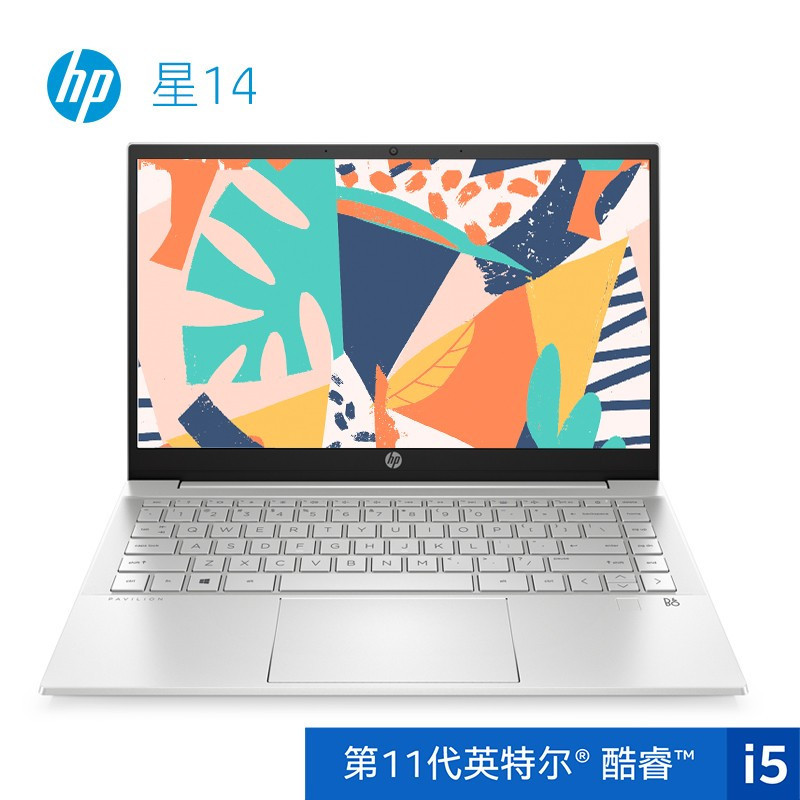 惠普(HP)星系列 星14-dv0005TX 14英寸轻薄本 笔记本电脑(十一代i5-1135G7 16GB 1TB固态 MX450/2G独显 72%高色域) 银色 定制版