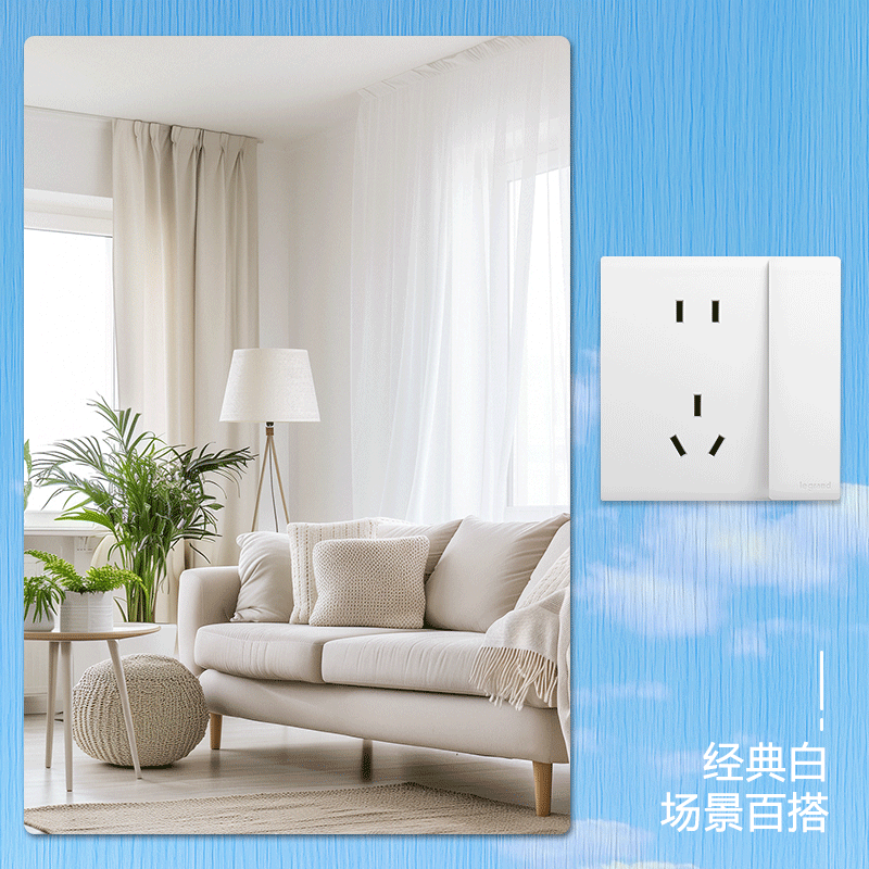 罗格朗 带双控开关五孔插座 暗装 F6R/25/10USL 个高清大图