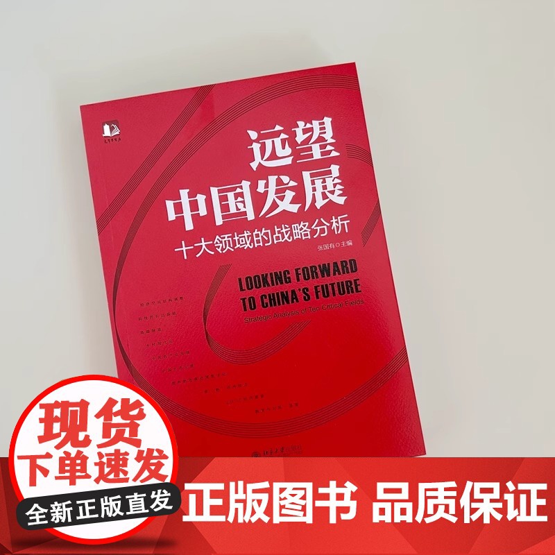 远望中国发展——十大领域的战略分析 中国式现代化行动指南 张国有深入现实亲近问题展望未来倾力求解探索实现中国式现代化路线高清大图