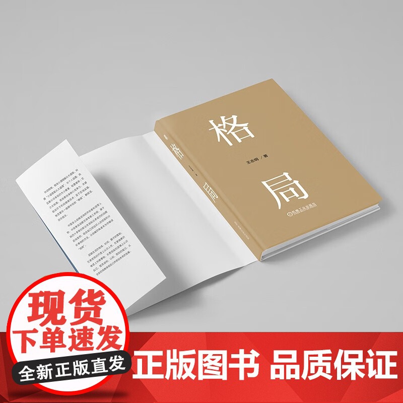 格局 小道理服从大道理 王志纲 著 思维与决策高清大图