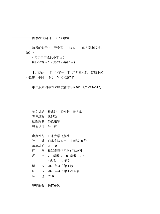 追风的影子 [正版]追风的影子 王天宁著 天宁哥哥成长小宇宙fb图书 山东大学出版社 中小学生课外书读物书籍高清大图