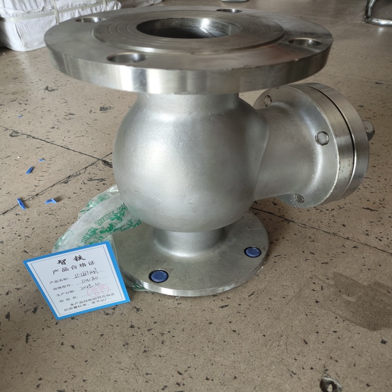 智铁 止回阀 DN80 个高清大图