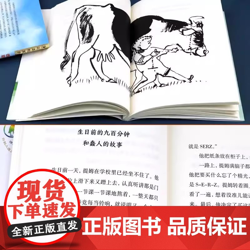 彩乌鸦10周年版 火鞋与风鞋 8-9-10-12岁小学生课外阅读书籍二三四五年级课外书儿童文学读物经典书目非注音版 二十高清大图