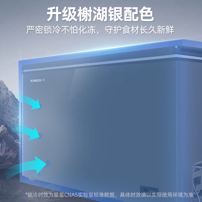 星星(XINGX) 300L 家用冷柜 卧式冷柜 冷藏冷冻转换柜 安全圆角 微霜系统 节能省电 BD/BC-300R图片