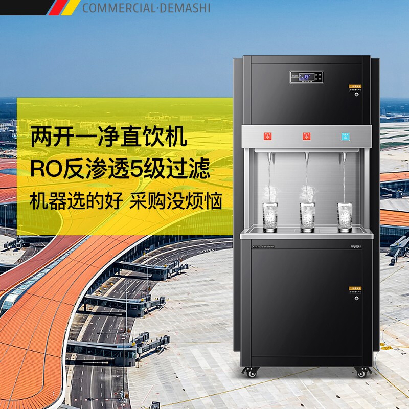 德玛仕 DEMASHI 直饮机 RO反渗透 商用学校烧水机 学校专用开水器 大型不锈钢 SRZ-3L-L6(两开一净)