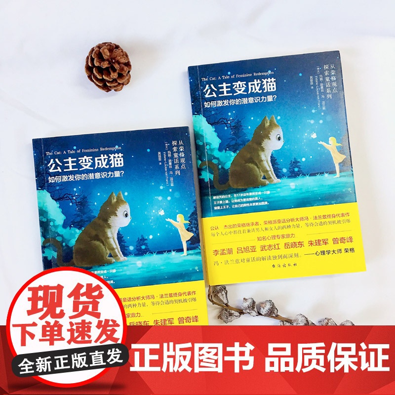 [正版]公主变成猫:如何激发你的潜意识力量? “每日听本书”重点《永恒少年》系列图书 心理学 意识与潜意识高清大图