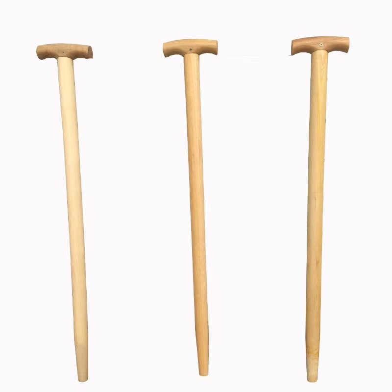 华敏 锹把 T型椿木 根高清大图