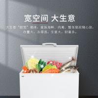 澳柯玛(AUCMA)商用卧式大容量冰柜 冷藏冷冻转换顶盖门 批发雪糕冷柜低温冷柜 BC/BD-376SNA
