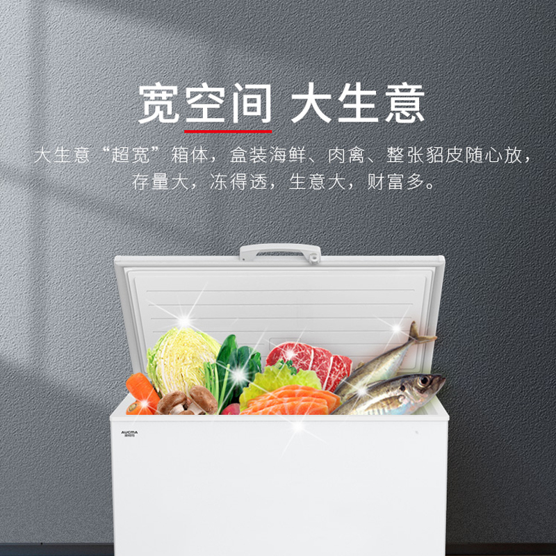 澳柯玛(AUCMA)商用卧式大容量冰柜 冷藏冷冻转换顶盖门 批发雪糕冷柜低温冷柜 BC/BD-376SNA