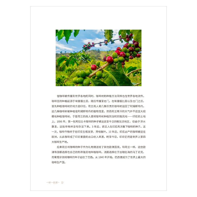 [正版]一杯一世界 世界著名咖啡店之旅 咖啡书咖啡书籍咖啡品鉴大全咖啡书籍大全教程咖啡书籍入门咖啡制作书籍咖啡学咖啡师书高清大图