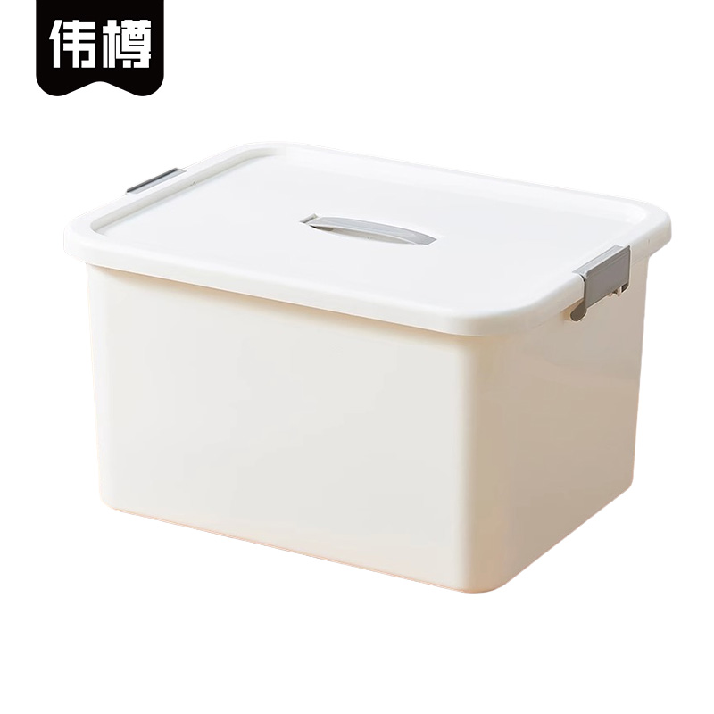 伟樽手提收纳盒小号23*14.5*13.5cm个