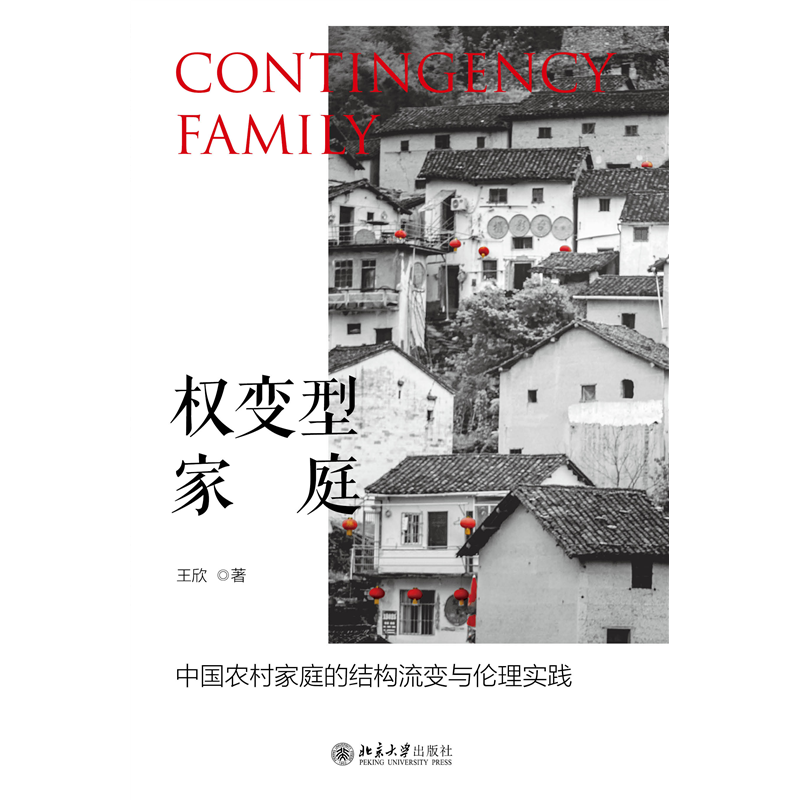 音像权变型家庭(中农村庭结构流变与伦理实践)王欣