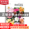蔷薇花图鉴