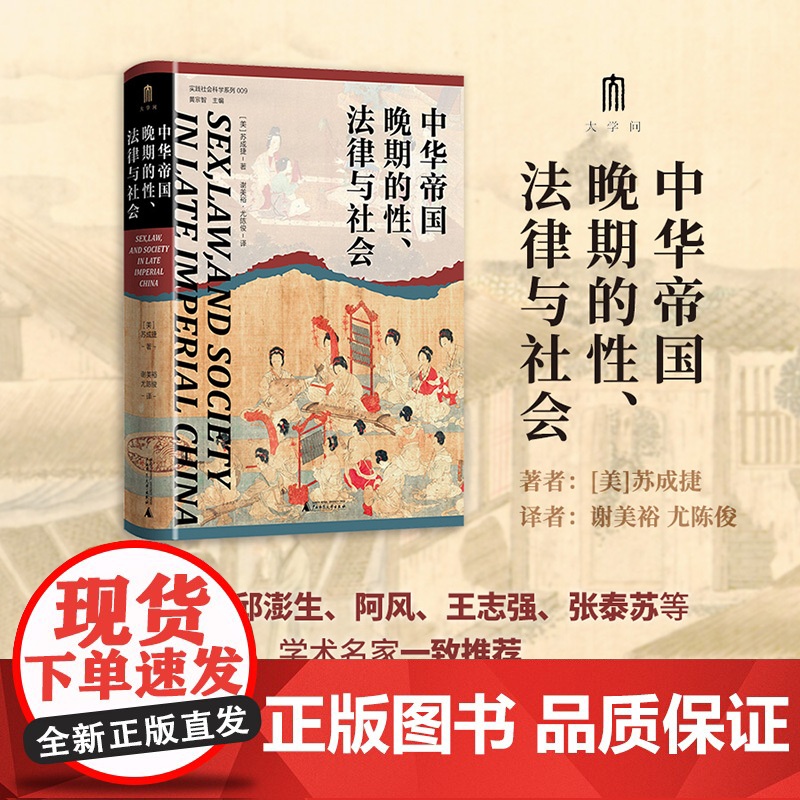 大学问 中华帝国晚期的性、法律与社会 (美)苏成捷/著 实践社会科学系列 法律史 性犯罪问题研究 广西师范大学出版社高清大图