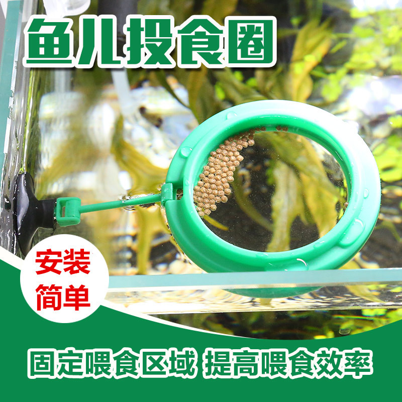 鱼食投喂圈鱼儿投食圈水族箱漂饲料浮鱼儿带吸盘高清大图