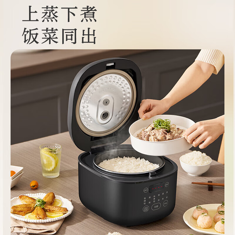苏泊尔(SUPOR)电饭煲电饭锅家用4L大容量多功能智能2-6人柴火饭煮粥不粘内胆24小时电饭煲 SF40FC0063