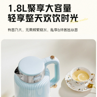 倍科保温电水壶热水壶1.8L家用316L不锈钢电热烧水壶自动断电大容量BEK-FS18A5