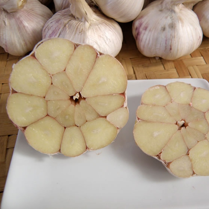 金乡 新鲜干蒜紫皮多瓣大蒜头 5斤