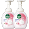 滴露玻尿酸泡沫抑菌洗手液花香型250ml*2瓶儿童泡泡家用洗手