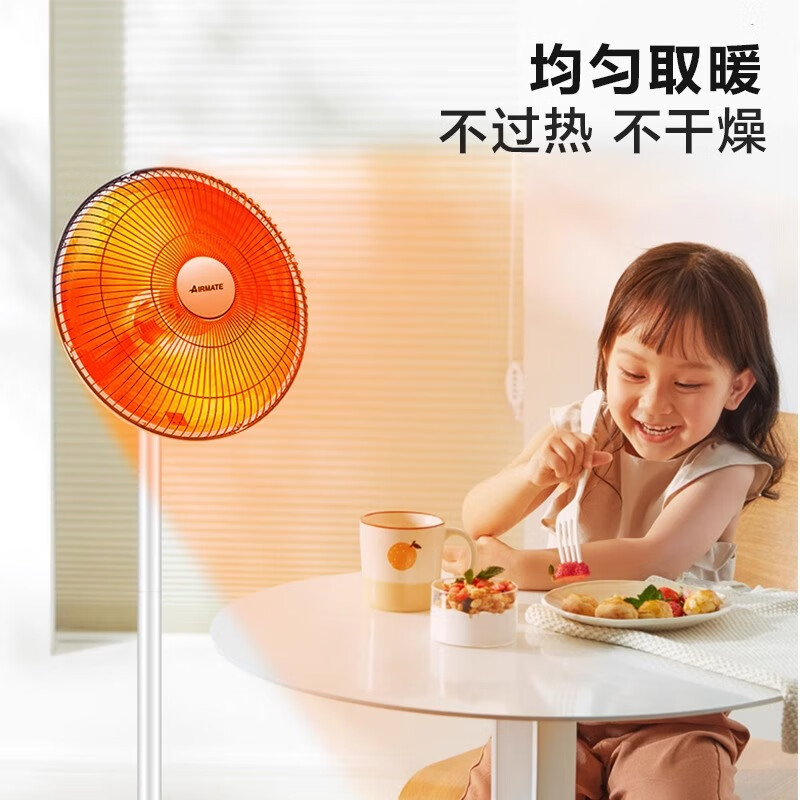 艾美特(Airmate) 取暖器/小太阳/电暖器/鸟笼电暖气/电暖扇 家用多角度调节定时摇头电热扇HF12081T-W高清大图