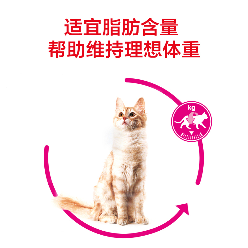 ROYAL CANIN 皇家猫粮 EA33全能优选成猫猫粮 全价粮-香味型 2kg 独特鱼类香味 维持理想体重