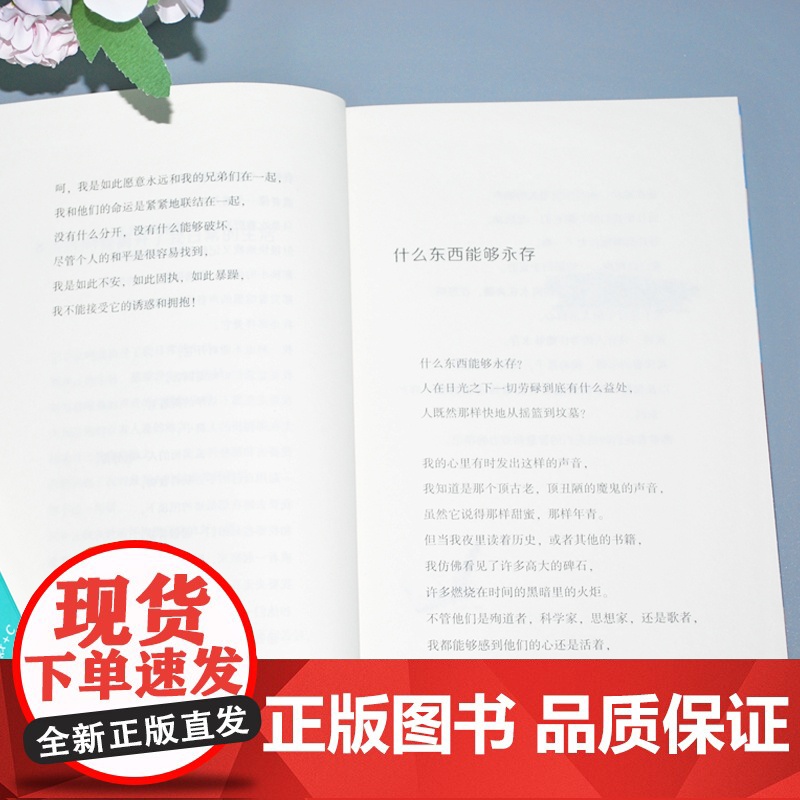 我为少男少女们歌唱何其芳著六年级下册读的课外书经典小学语文同步阅读教材配套课文里的作家系列长江文艺出版社高清大图