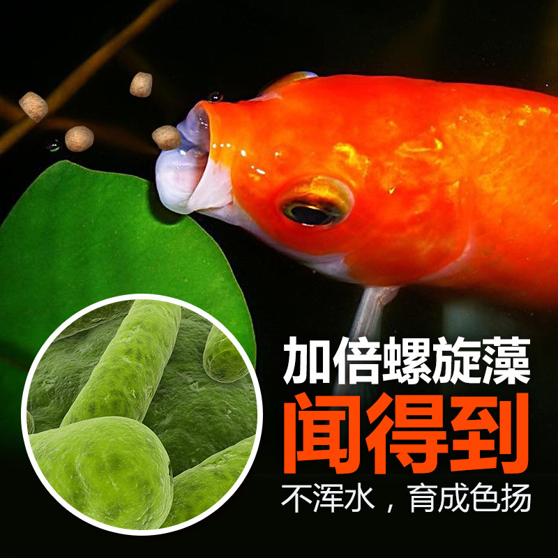鱼食 鱼饲料 颗粒 锦鲤饲料 金鱼饲料 鱼粮 观赏鱼饲料 哥斯拉胚芽锦鲤鱼食大颗粒2500ML